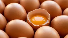 卵の保存は冷蔵庫のどこが正解？鮮度が落ちにくい置き場所と向きの基本